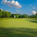Golfing in Williamson County, Tennessee: 10 Best Country Clubs to Visit