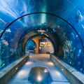 Exploring the Best Zoos and Aquariums in Williamson County, Tennessee