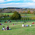 Discover the Magnificent Gardens of Williamson County, Tennessee
