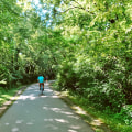 Exploring Nature Trails and Hiking Trails in Williamson County, Tennessee