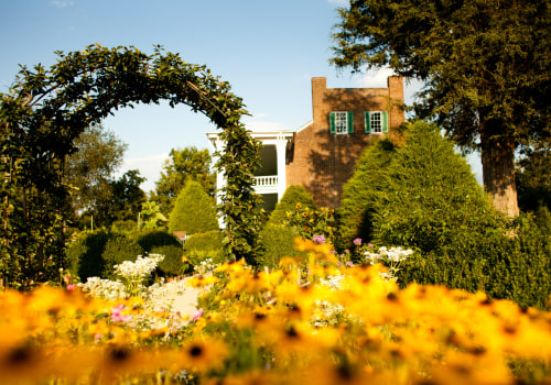Capture the Beauty of Williamson County, Tennessee