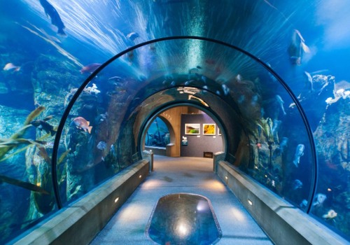 Exploring the Best Zoos and Aquariums in Williamson County, Tennessee
