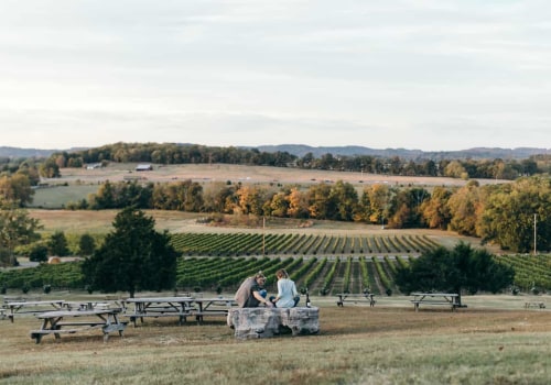 Exploring the Best Wineries and Breweries in Williamson County, Tennessee