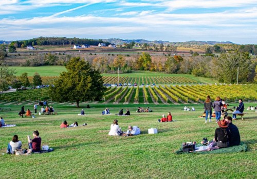 Discover the Magnificent Gardens of Williamson County, Tennessee